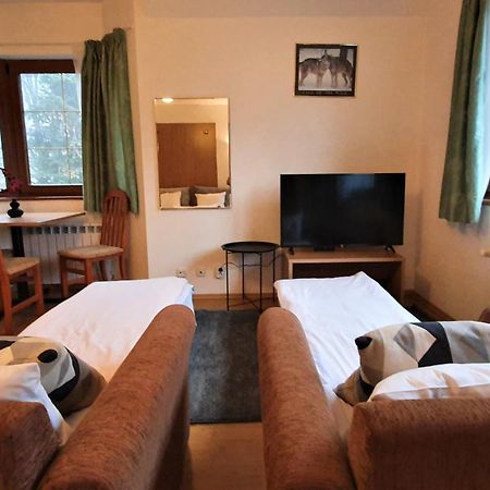 Kokiche Private Apartments Borovets Oda fotoğraf